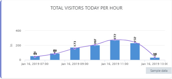 People Count Per Hour Report Live