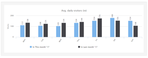 Summary Report Daily Visitor Count